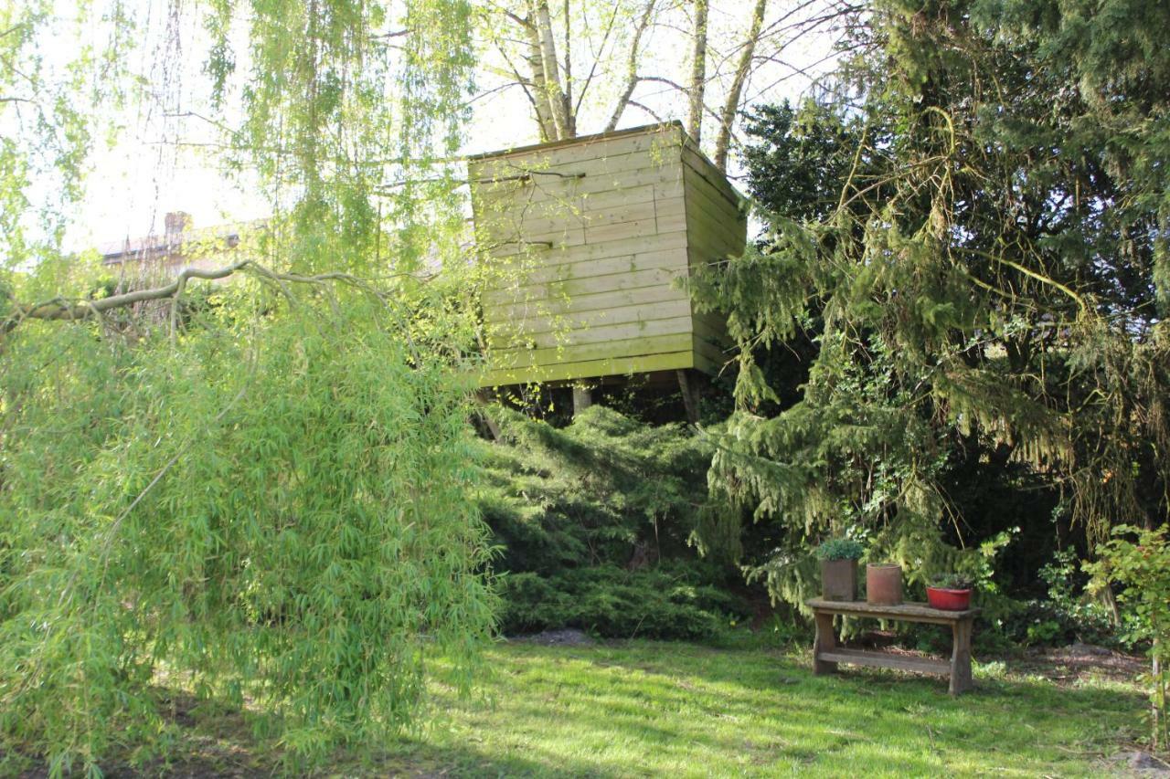 Bed and Breakfast La Chaumiere Du Tordoir Les Rues-des-Vignes Exterior foto